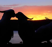 Love Sunset by Caine Mazoudier