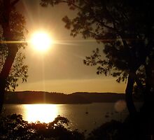 Buena Vista Australia by Caine Mazoudier