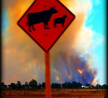 Only YOU can prevent forest fires! by HennaGoddess
