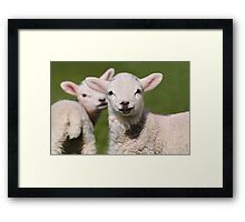 Looking on Framed Print