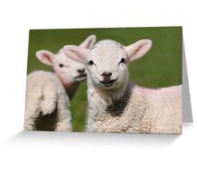 Looking on Greeting Card