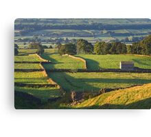 Morning Light near Askrigg - Yorkshire Dales Canvas Print