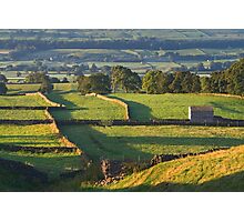 Morning Light near Askrigg - Yorkshire Dales Photographic Print
