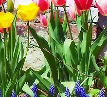 April Medley by Nadya Johnson