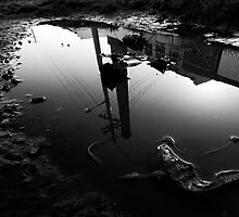 Murky Waters by Jocelyn Parry-Jones