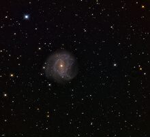 Messier 83, a galaxy in the constellation Hydra by Stuart Thomson