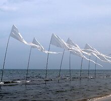 Peace flags by michele1x2