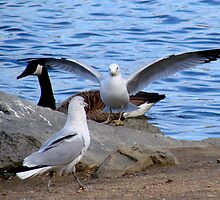 I swear the fish was this big...... by Tricia Stucenski