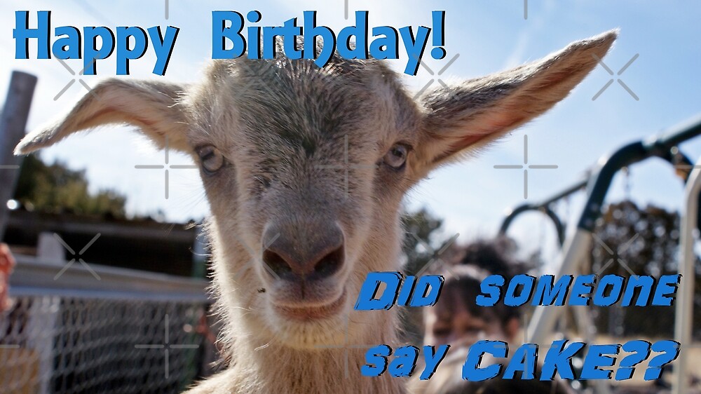 "Baby Goat Birthday" by Kimbrough Redbubble