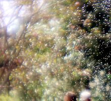 A snow globe of a lovely place to be by Marianna Tankelevich