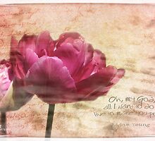 All I want to do... by Olga