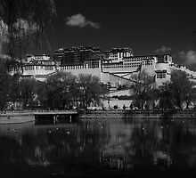 A good place for reflection by Mark Bolton