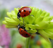If you need a helping hand.... by Yool