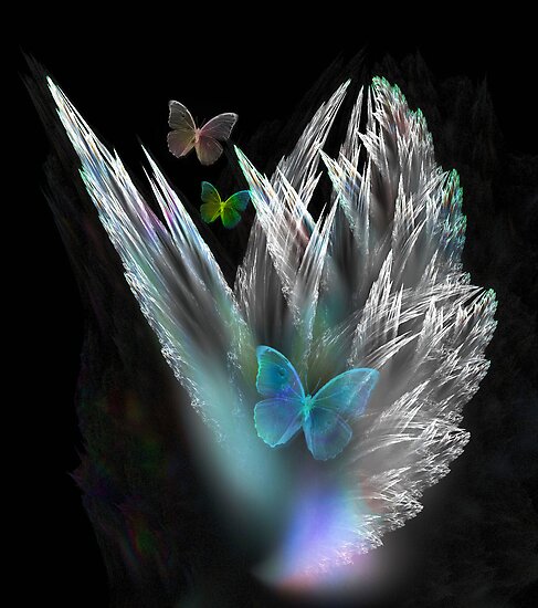 free images of butterflies. Butterflies are Free by Elaine