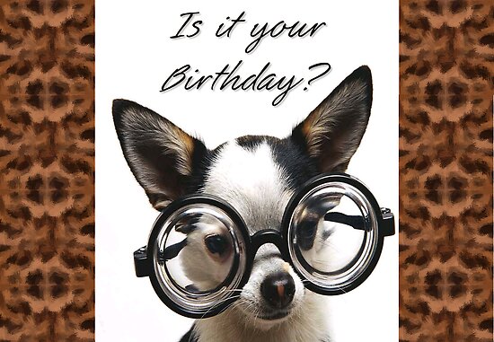 funny birthday card. Funny Dog Birthday card by