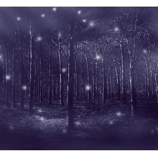 enchanted forest. the enchanted forest by