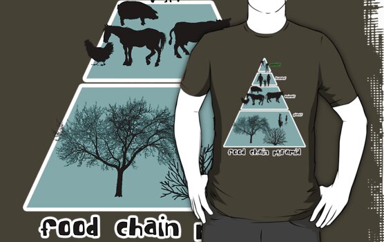 difference between food chain and food. food chain pyramid.