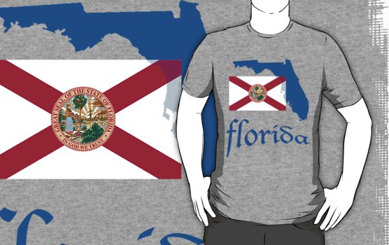 florida state flag. florida state flag by