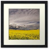 view all landscapes view all landscapes