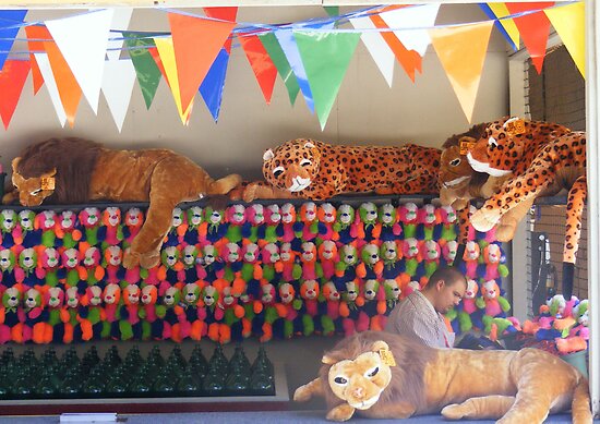 Pictures Of Lions And Tigers. Lions and Tigers and Leopards.