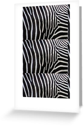 lines, patterns, lack and white, zebra and zoo, richimage and zebra black and white patterns to print. lines, patterns, lack and white, zebra and zoo, richimage and zebra