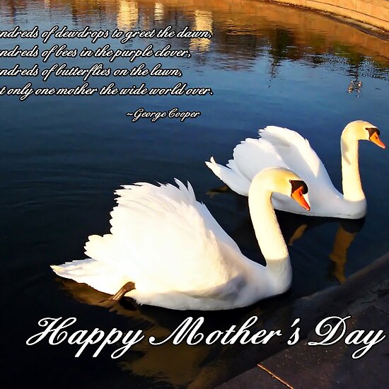 Greeting Cards For Mother. Happy Mother S Day Cards: