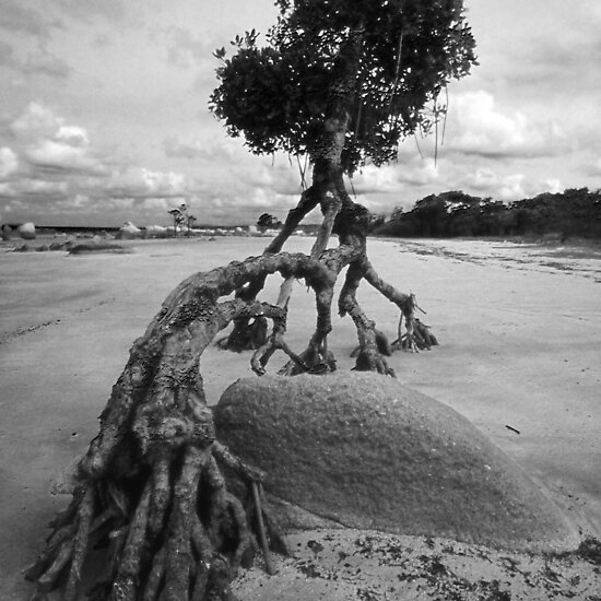 Reaching+out