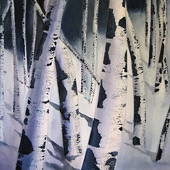 Aspen Trees in Winter-