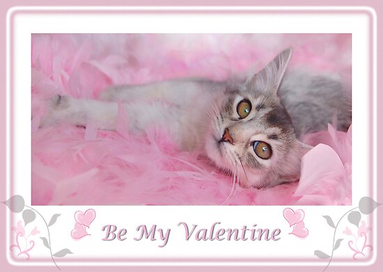 Valentines with cats