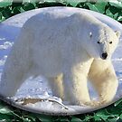 July Polar Bear by David Booth