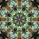 Silent Ivy Fractured by MaKay Silent Ivy Fractured by MaKay