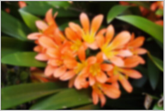 OE Tutorial Image 18