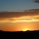 {desert sunset} by Brenda Smith