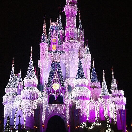 magic kingdom castle. at night in Magic Kingdom,
