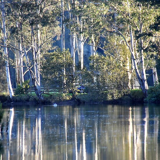 Reflections NSW Australia