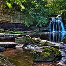 Serenity in North Yorkshire by Mark White