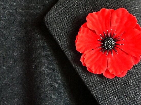 Remembrance Day poppy by