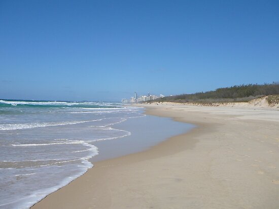 the gold coast beaches. Gold Coast Beach on a Sunny