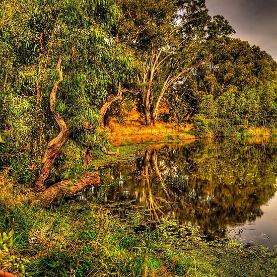 Albury , NSW Australia