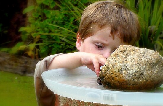 Birdbath Maintenance! - Child Playing - NZ" Fine Art Print by ... Birdbath Maintenance! - Child Playing - NZ" Fine Art Print by ...