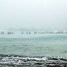 Ocean Mist 2