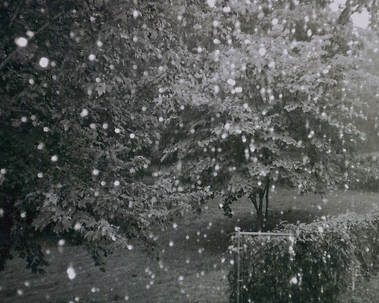 Black And White Rain. Black and White Rain Drops by