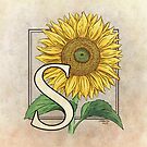 S is for Sunflower