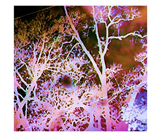  Season's Change: Abstract with Creepy Tree II by Kristin Sharpe
