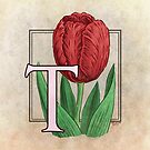 T is for Tulip