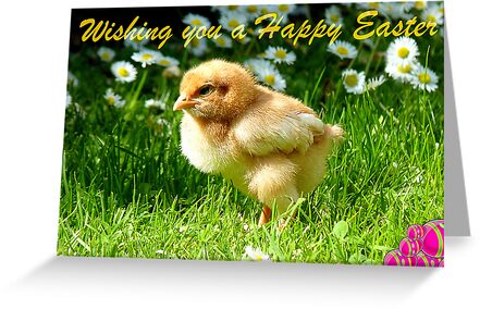 happy easter cards print. easter cards, happy easter,