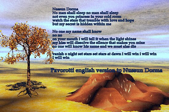 Nessun Dorma English Lyrics by