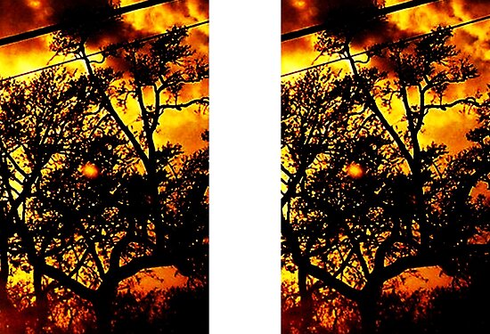  Season's Blaze: 'Abstract' with Creepy Tree III by Kristin Sharpe