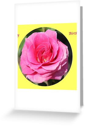 red rose flower garden. Red rose at the Botanical