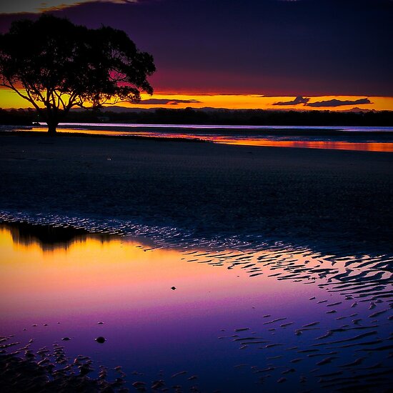 purple sunset beaches. Purple Beach Sunset; Brighton